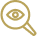 eye in magnifying glass