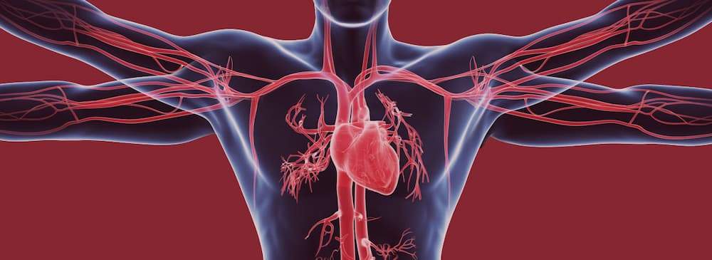 OBL Vascular Opportunities: Post Acute Care Market