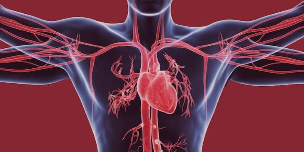 OBL Vascular Opportunities: Post Acute Care Market